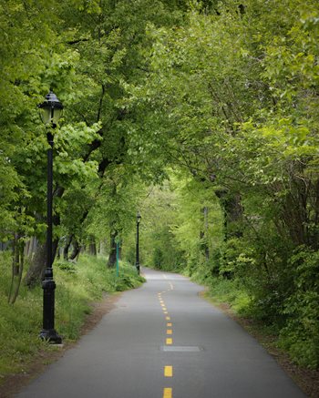 Paths to Campus Enrichment 1