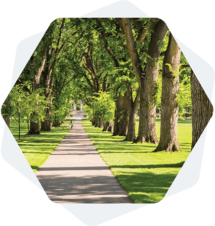 College Campus Environmental Sustainability