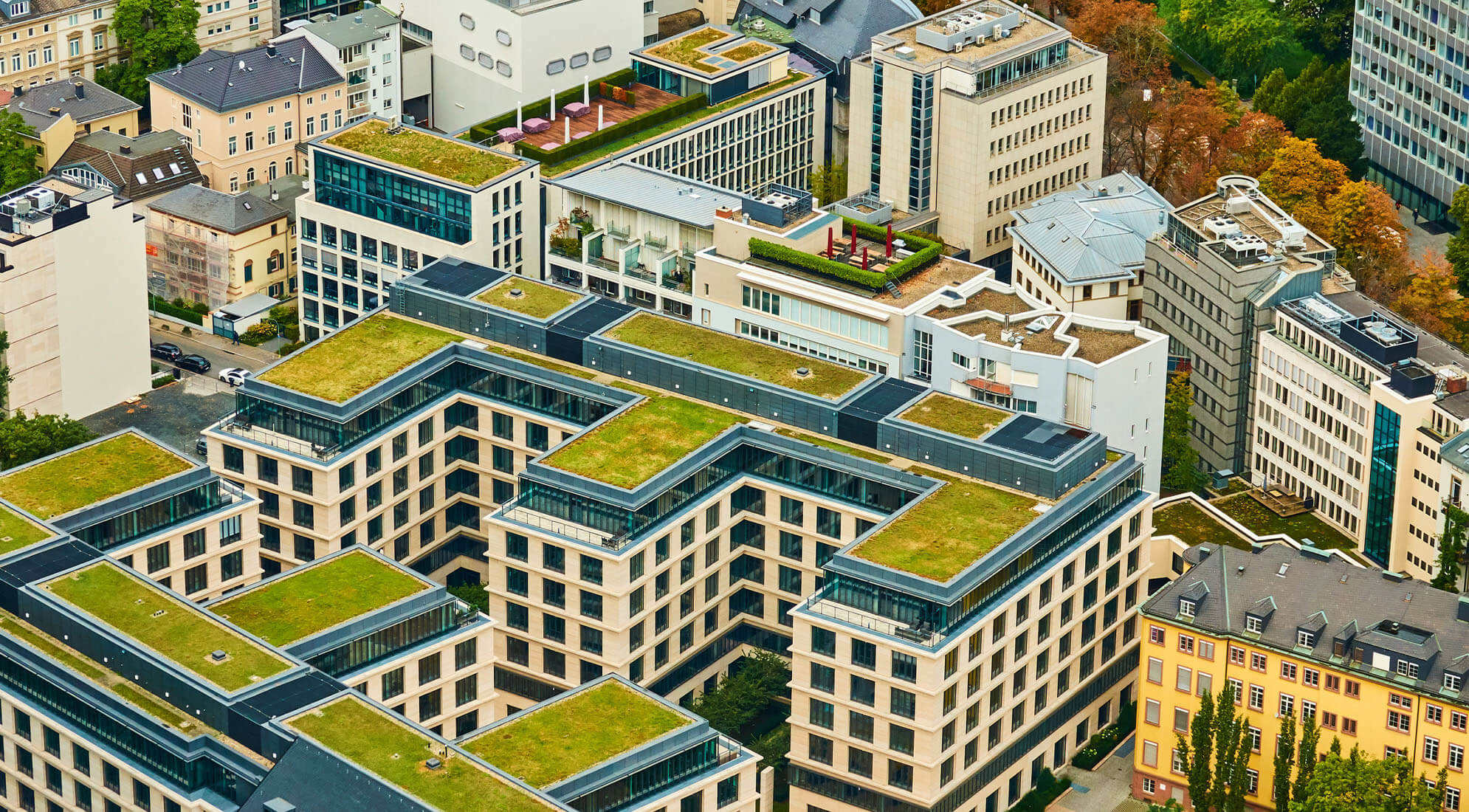 Roads, Roofs and Rainwater: LEED’ing on the Path to Sustainable Construction and Design