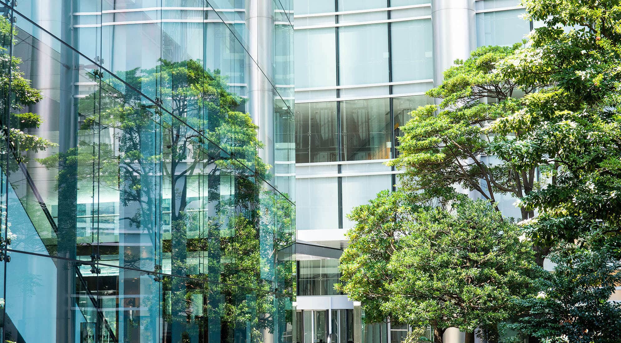 4 Ways Hospitals Can Reduce Their Carbon Footprint 1
