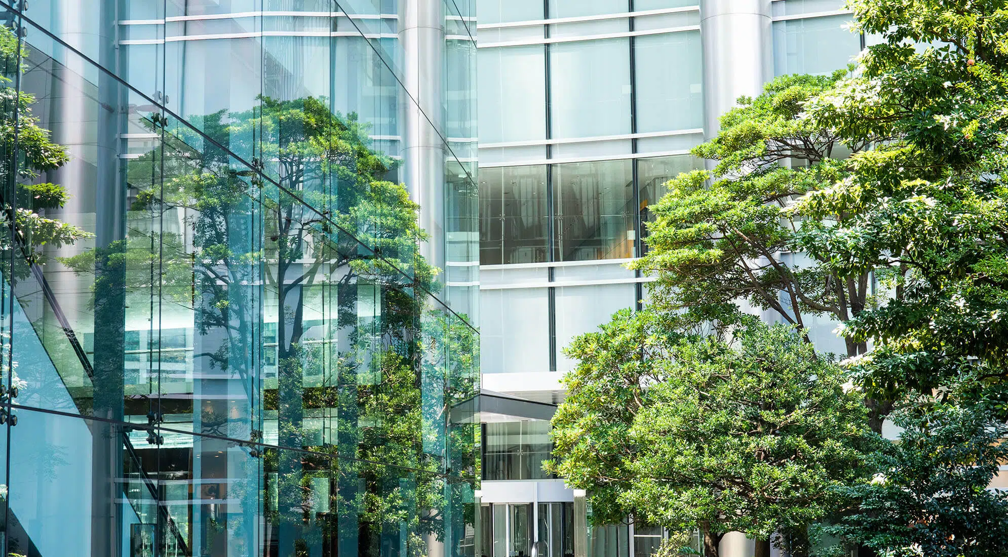 4 Ways Hospitals Can Reduce Their Carbon Footprint 3