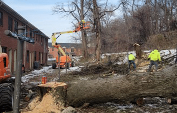 Harrisburg Housing Authority (HHA) Makes Sweeping Community Improvements 2