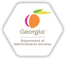 Georgia's Public Sector